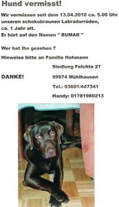 Hund Thüringen