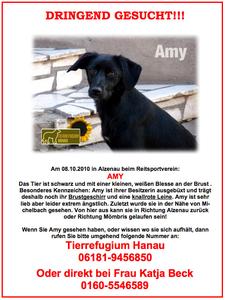 Hund Hessen
